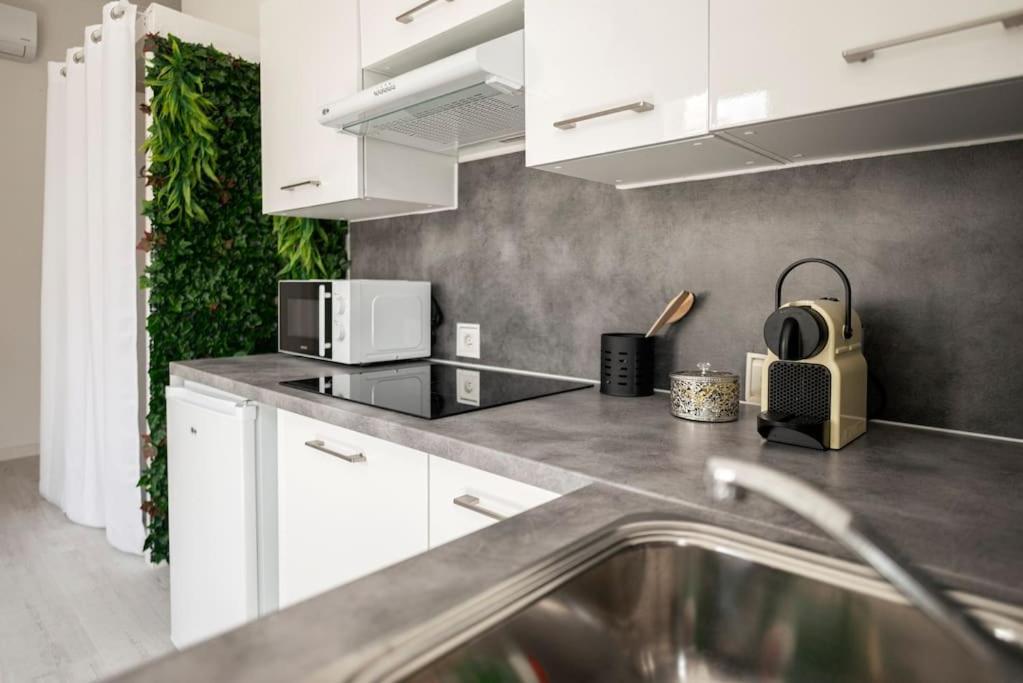 Charmant Studio Arbore Et Climatise Carcassonne Exterior photo